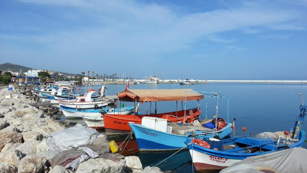 Cicek Aile Pansiyonu Ören Εξωτερικό φωτογραφία
